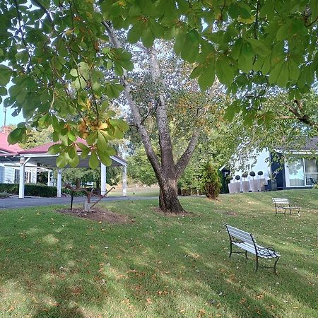 Moore Park Inn アーマデイル エクステリア 写真