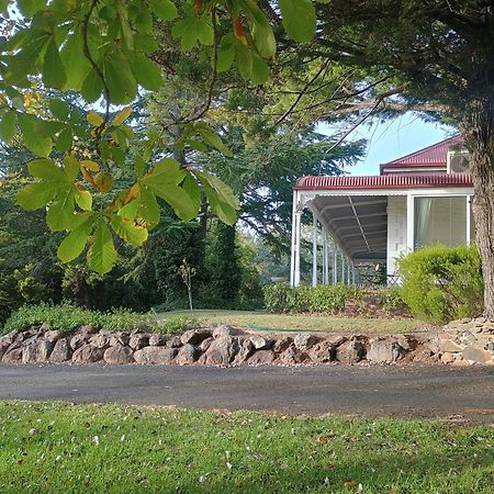 Moore Park Inn アーマデイル エクステリア 写真