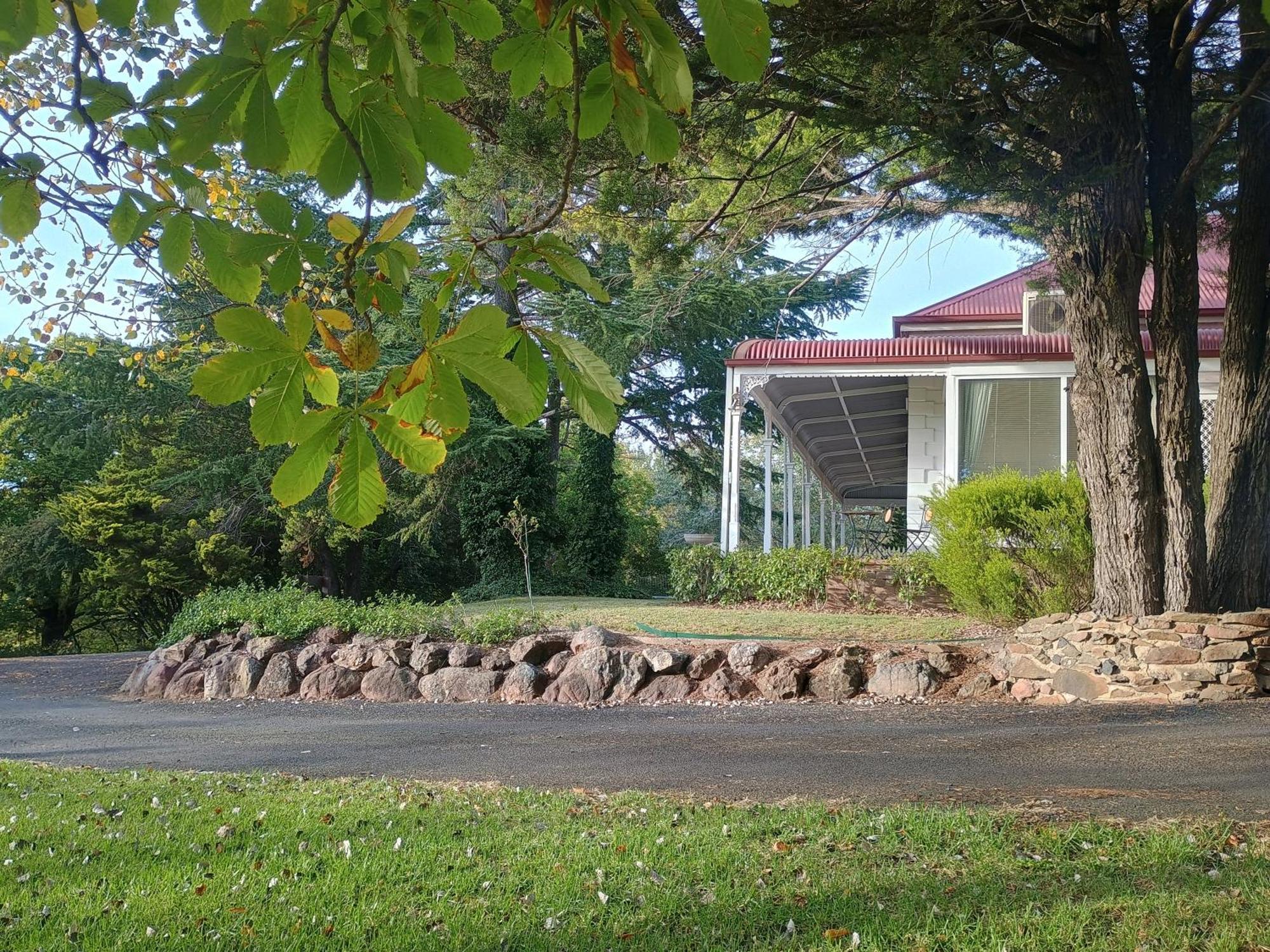 Moore Park Inn アーマデイル エクステリア 写真