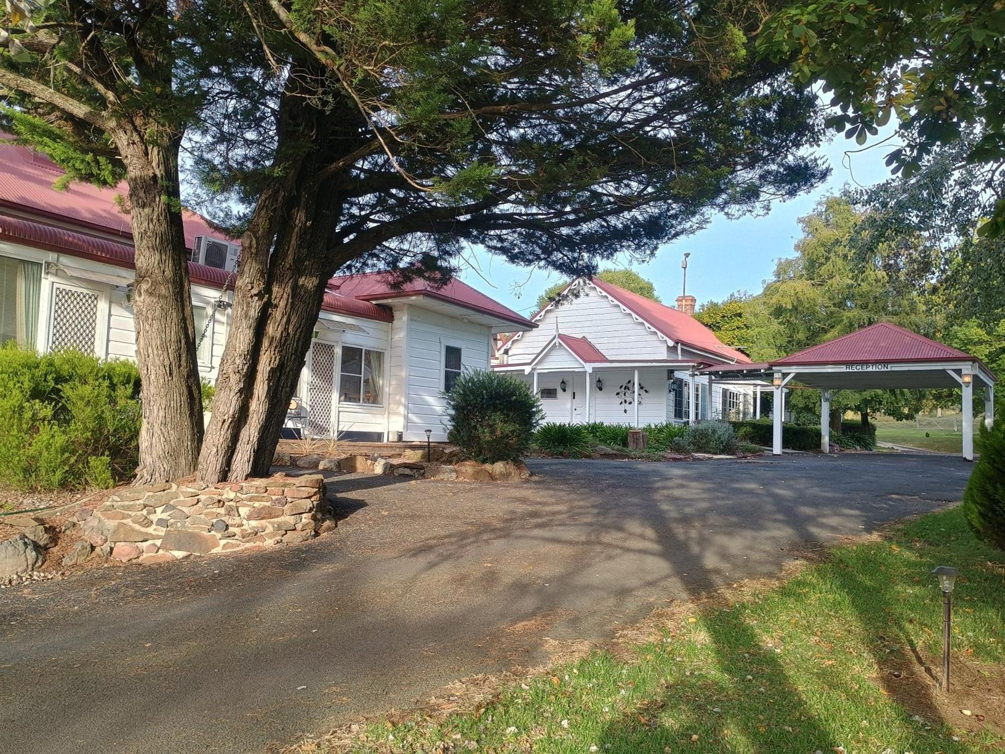 Moore Park Inn アーマデイル エクステリア 写真